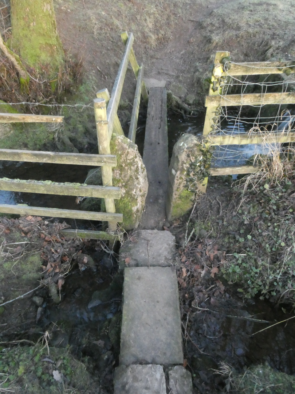 Photo by John Ockenden